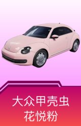 大众甲壳虫(花悦粉)