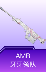 AMR-牙牙领队