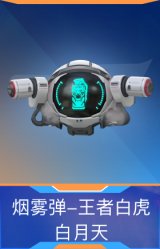 烟雾弹-王者白虎-白月天