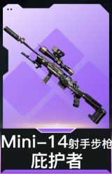 Mini-14射手步枪-庇护者