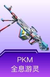 PKM-全息游灵