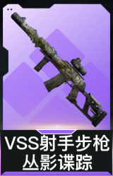 VSS射手步枪-丛影谍踪