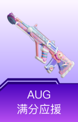 AUG-满分应援