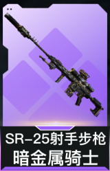 SR-25射手步枪-暗金属骑士