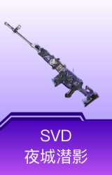 SVD-夜城潜影