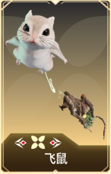 飞鼠