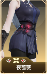 夜蔷薇