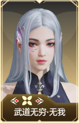 武道无穷·无我