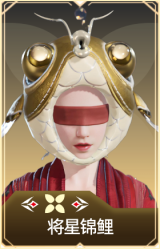 将星锦鲤
