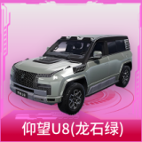 仰望U8(龙石绿)