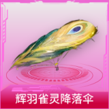 辉羽雀灵降落伞