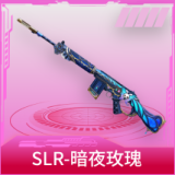 SLR-暗夜玫瑰
