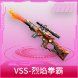 VSS-烈焰拳霸