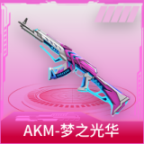 AKM-梦之光华