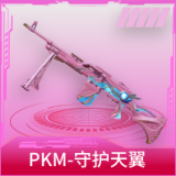 PKM-守护天翼