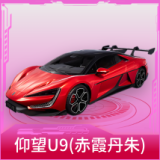 仰望U9(赤霞丹朱)