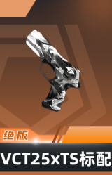 标配-VCT25xTS