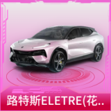 路特斯ELETRE(花绽灰)
