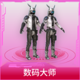 数码大师