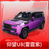 仰望U8(雷霆紫)