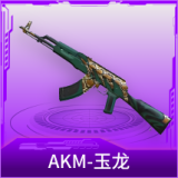 AKM-玉龙