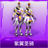 紫翼圣骑