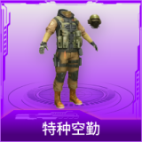 特种空勤