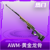 AWM-黄金龙骨