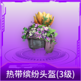 热带缤纷头盔(3级)