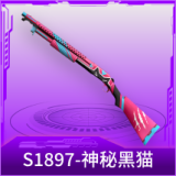 S1897-神秘黑猫