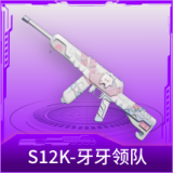 S12K-牙牙领队