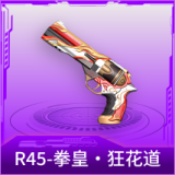 R45-拳皇·狂花道