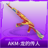 AKM-龙的传人
