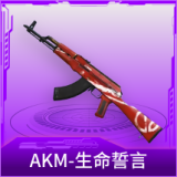 AKM-生命誓言