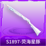 S1897-荧海星豚