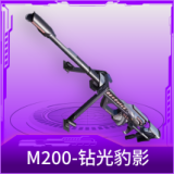 M200-钻光豹影