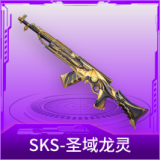 SKS-圣域龙灵