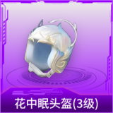 花中眠头盔(3级)