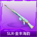 SLR-金丰海韵