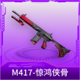 M417-惊鸿侠骨