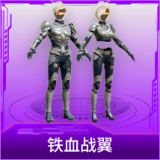 铁血战翼
