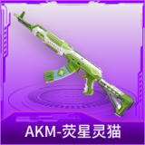 AKM-荧星灵猫