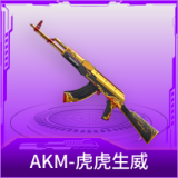 AKM-虎虎生威