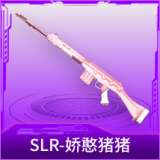 SLR-娇憨猪猪