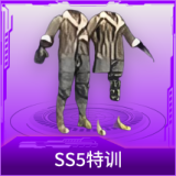 SS5特训