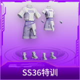 SS36特训