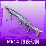 Mk14-银夜幻翼