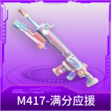 M417-满分应援