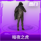 暗夜之虎