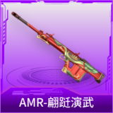 AMR-翩跹演武